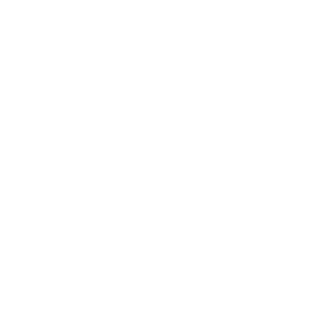Blueprint Icon